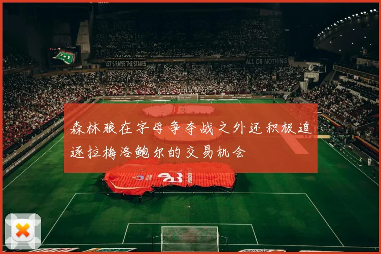 森林狼在字母争夺战之外还积极追逐拉梅洛鲍尔的交易机会