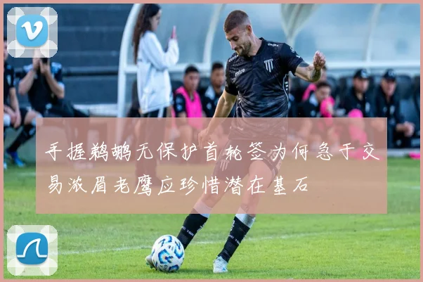 手握鹈鹕无保护首轮签为何急于交易浓眉老鹰应珍惜潜在基石