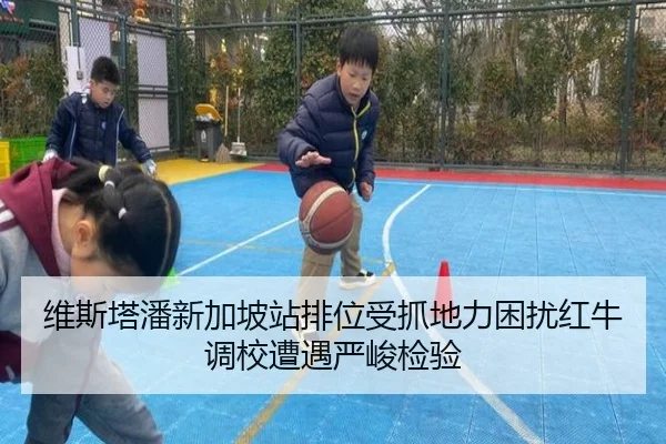 维斯塔潘新加坡站排位受抓地力困扰红牛调校遭遇严峻检验（YaboSports）